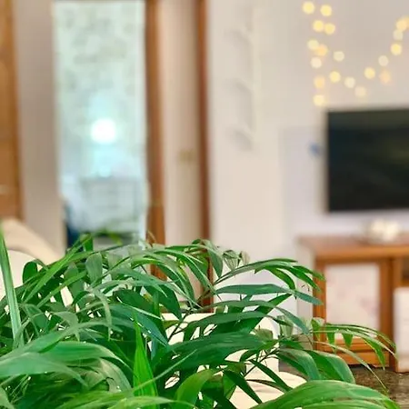 Your - El Tablado - Tenerife Sur *