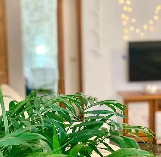 Your - El Tablado - Tenerife Sur *